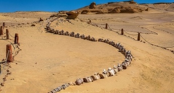 Skrivna egipčanska dolina kitov