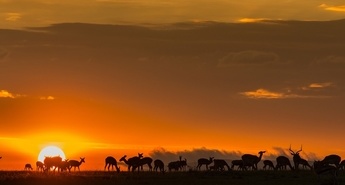 Tematski blok: Vikend ob svetovnem dnevu Zemlje