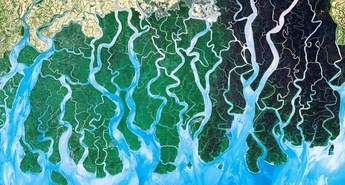 Viasat Nature v drugi polovici aprila 2024