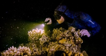 TV program Viasat Nature 