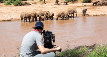 Viasat Nature v novembru