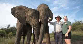 Bolnišnica za slone