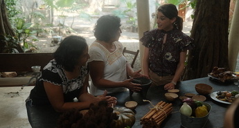 PATIJINA MEHIŠKA MIZA