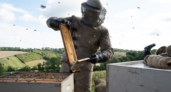 Jason Statham je ČEBELAR