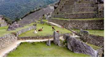 Machu Picchu: Kamnito mesto