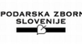 Ustanovljena Sekcija slovenskih ponudnikov programske opreme