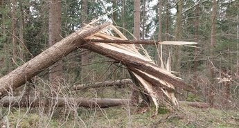 Sanacija zahtevna in dolgotrajna