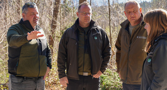 Dobršen del lastnikov gozdov se je že vestno lotil sanacije