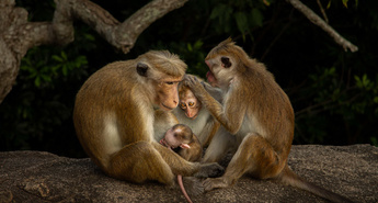 Sony World Photography Awards 