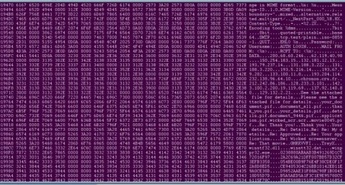 2004 - leto črvov Netsky