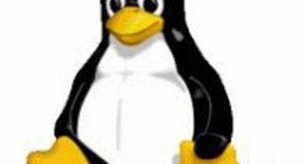 V poslovnem svetu majhno zanimanje za Linux