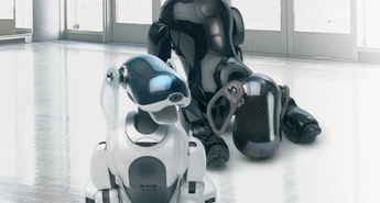 AIBO še pametnejši