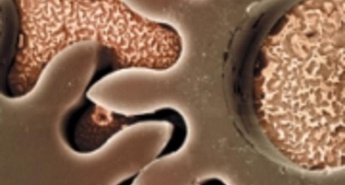 Tveganja nanotehnologij