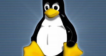 Novell in NCR ponudila Linux na POS-terminalih