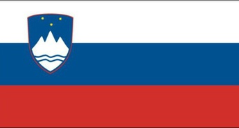 Kaj Slovenci iščemo na spletu?