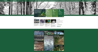 Nova spletna stran Zavoda za gozdove Slovenije 