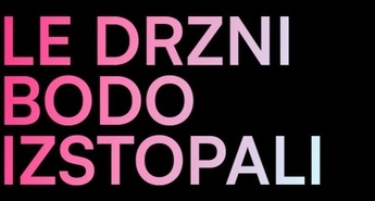 WEBSI Digitalni presežki Slovenije