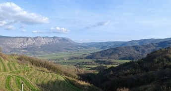 Posestvo Guerila na Planini & HONOR Magic6 Pro