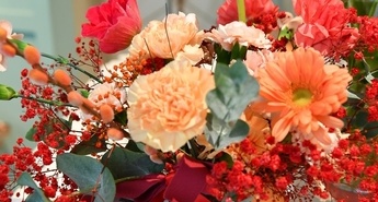 Ljubezen na Xiaomijev način