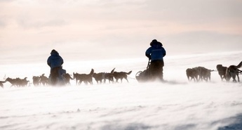 Fjällräven Polar 2026