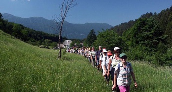 Prvi pohod v Bavšico