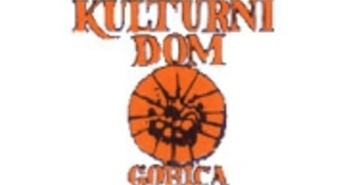 Telovadna akademija ŠZ Dom v telovadnici Kulturnega doma v Gorici