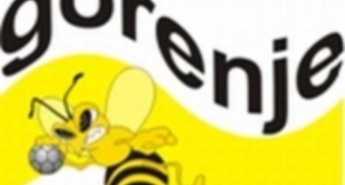 Mini turneja v Parizu