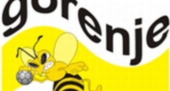 Pokal Slovenije 2007