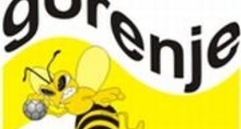 TESTNI PRENOS TEKME GORENJE - KRKA NA INTERNETU