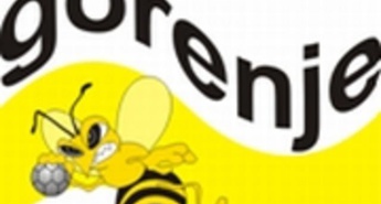 Pred končnico lige za prvaka