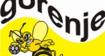 LE ZMAGA OHRANJA GORENJE V BORBI ZA DRUGO MESTO