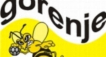 Gorenje dokončno formiralo ekipo