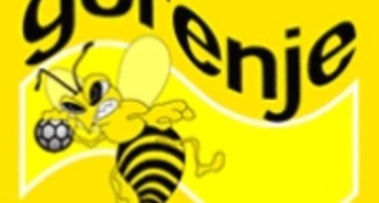 Obvestilo o dogajanju na igrišču mladih rokometašev iz Velenja