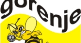 OSE V DRUGEM DELU TEKME V ROJU NAPADLE SVIŠ