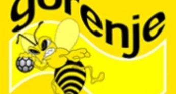 RK GORENJE - liga prvakov/prodaja paketov vstopnic