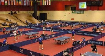 V Velenju vse nared za evropsko namiznoteniško elito