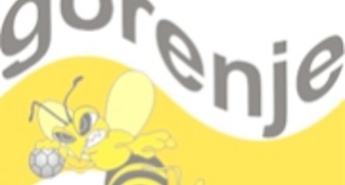 Točki so si pravilno razdelili