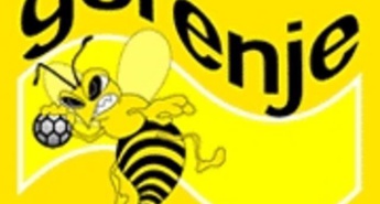 Gorenje v končnici prvič poraženo