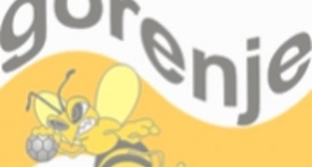 Sprememba termina zadnje tekme med Gorenjem in Trimom