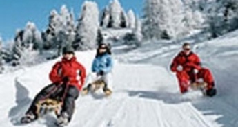 Organizira sankanje na Veliki Planini