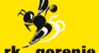 Poročilo s tekme 19. kroga MIK 1.lige med Gorenjem in Ribnico