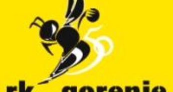 Pričakovanja velenjskega tabora ob današnji tekmi 1. kroga končnice MIK 1. lige