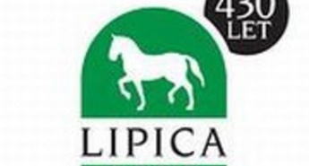 OD PETKA DO NEDELJE V LIPICI SVETOVNI POKAL V PRESKAKOVANJU OVIR