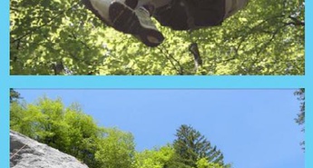 Team building programi, igre in aktivnosti za podjetja in skupine