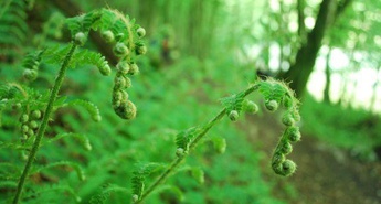 18. mednarodni pohod po najjužnejši slovenski pešpoti