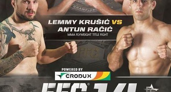 V Tivoliju bodo ponovno nastopile največje slovenske zvezde borilnih veščin