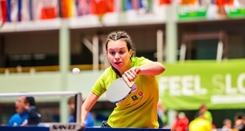 10-ČLANSKA SLOVENSKA ZASEDBA