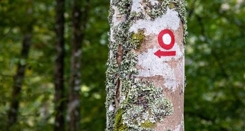 Katera bo naj planinska pot 2026?