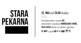 Jutri se pričenja 25. festival Dnevi mladih in kulture