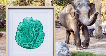 Dobrodelna zgodba z močnim sporočilom